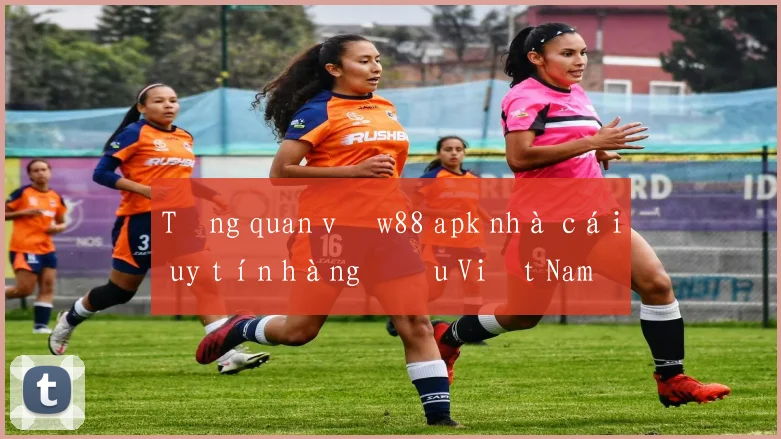 Tổng quan về w88 apk nhà cái uy tín hàng đầu Việt Nam